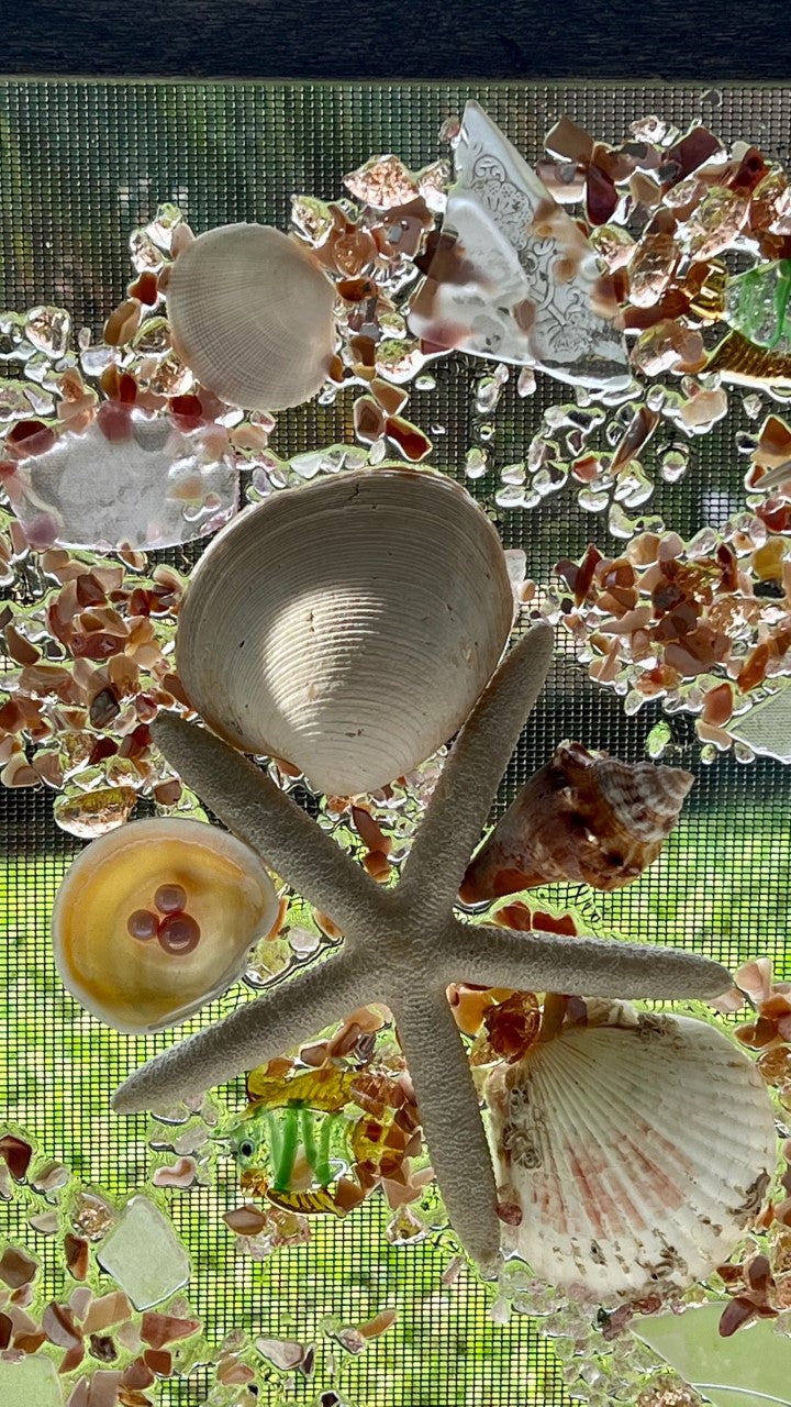 Starfish Wave on Glass