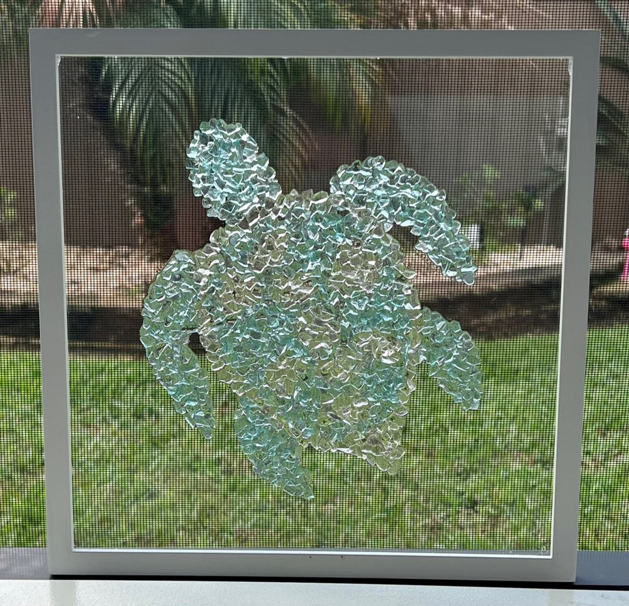 Sea Turtle on Glass